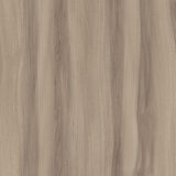 Lionga Elm